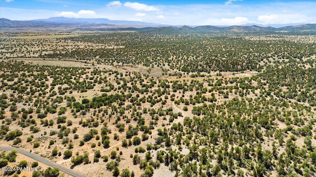 0 W Ravenguard Rd, Paulden, AZ 86334 - photo 18