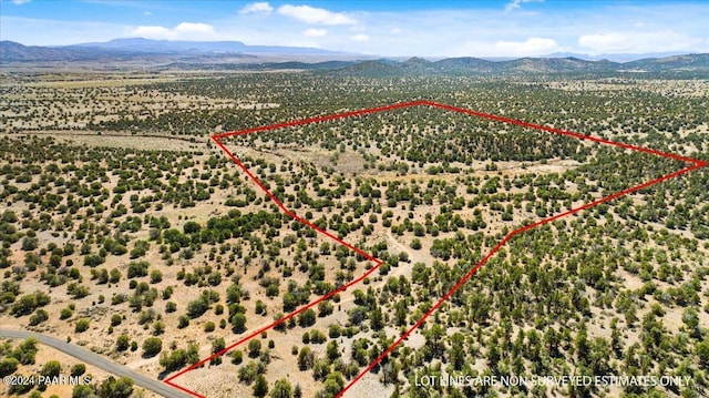 0 W Ravenguard Rd, Paulden, AZ 86334 - photo 11
