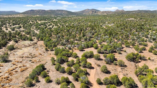 0 W Ravenguard Rd, Paulden, AZ 86334 - photo 14
