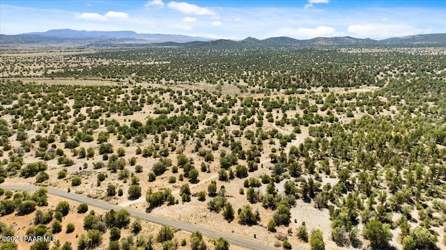 0 W Ravenguard Rd, Paulden, AZ 86334 - photo 12