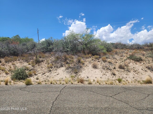 16619 S Brahma Cir, Mayer, AZ 86333 - photo 6