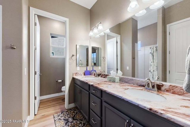 bathroom featuring hardwood / wood-style flooring, vanity, and toilet