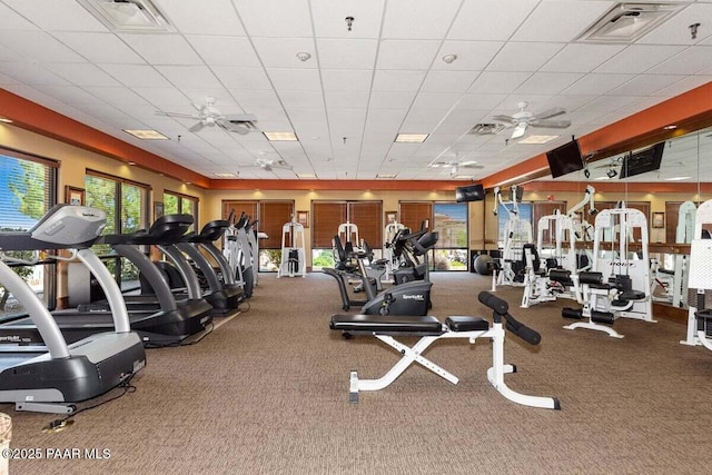 workout area with ceiling fan, carpet floors, and a drop ceiling