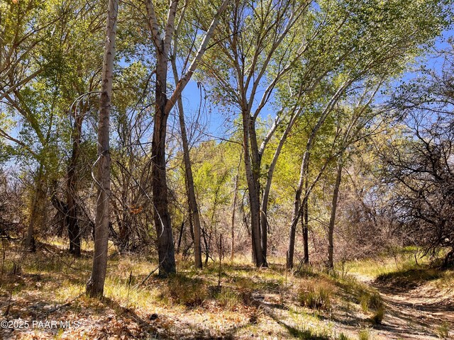 2900 S Old Skull Valley Rd, Skull Valley, AZ 86338 - photo 3