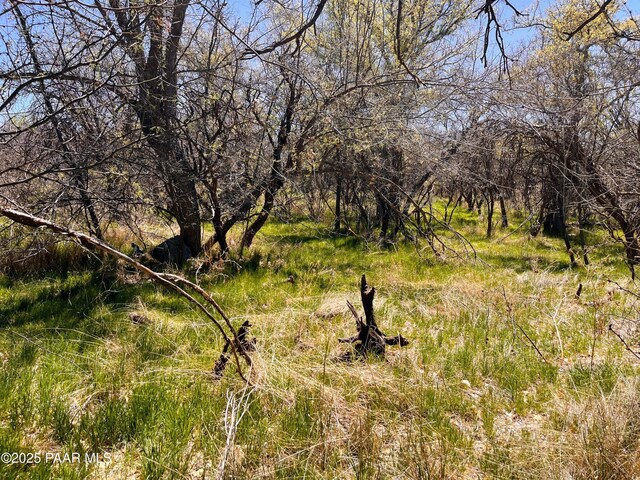 2900 S Old Skull Valley Rd, Skull Valley, AZ 86338 - photo 4
