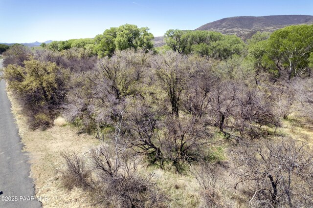 2900 S Old Skull Valley Rd, Skull Valley, AZ 86338 - photo 15