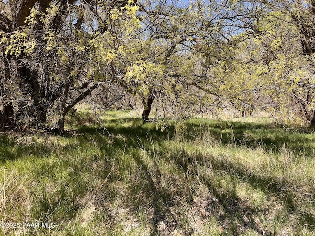 2900 S Old Skull Valley Rd, Skull Valley, AZ 86338 - photo 1