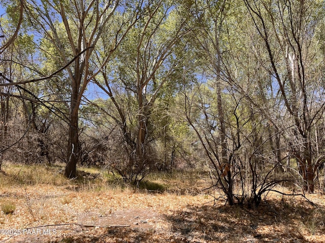 2900 S Old Skull Valley Rd, Skull Valley, AZ 86338 - photo 2