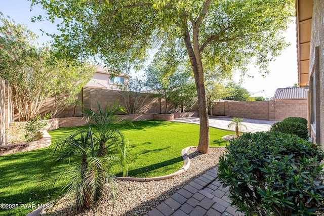 3713 W Nancy Ln, Phoenix, AZ 85041 - fenced backyard with a patio area