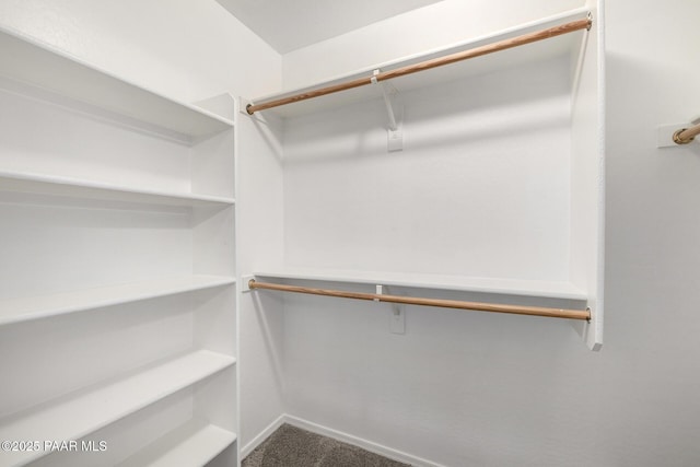 3713 W Nancy Ln, Phoenix, AZ 85041 - spacious closet with carpet floors