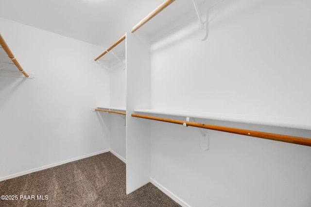 1242 N Oxbow Dr, Dewey-Humboldt, AZ 86327 - spacious closet with carpet