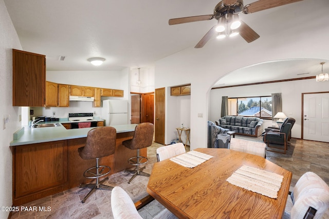 dining space with lofted ceiling, sink, and ceiling fan