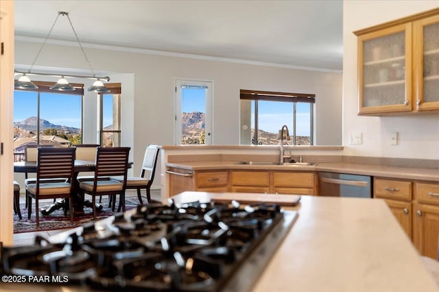 kitchen with crown molding, plenty of natural light, sink, and a mountain view