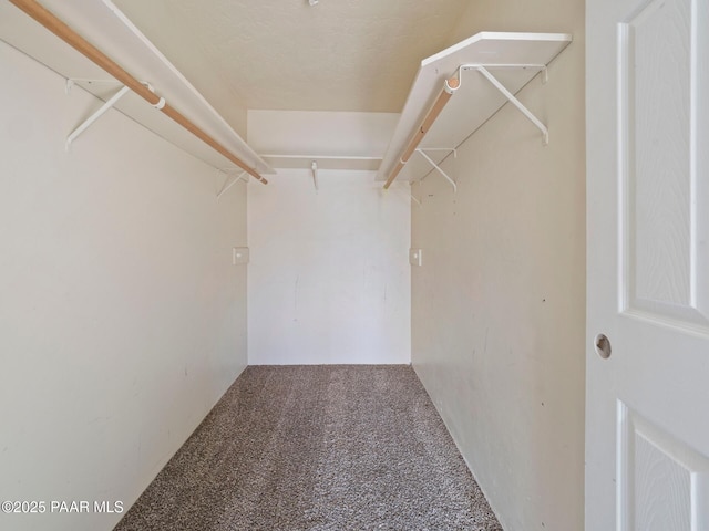 spacious closet with carpet flooring