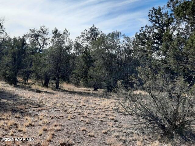 31790 W La Gatito Ln, Seligman, AZ 86337 - photo 3