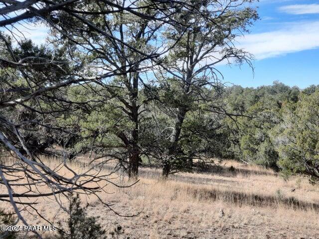 31790 W La Gatito Ln, Seligman, AZ 86337 - photo 1