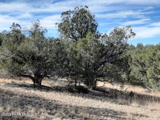 31790 W La Gatito Ln, Seligman, AZ 86337 - photo 5