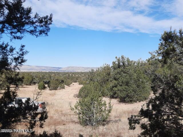 31790 W La Gatito Ln, Seligman, AZ 86337 - photo 2