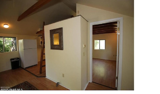 hallway with hardwood / wood-style floors and lofted ceiling with beams