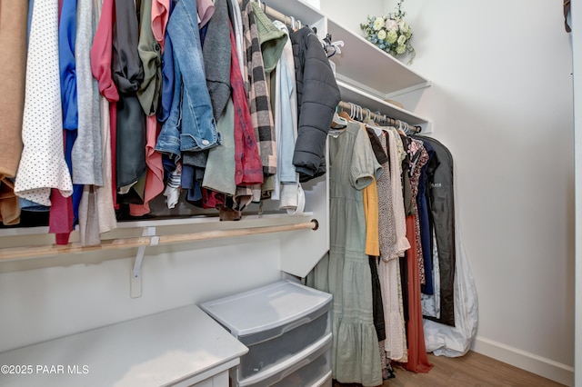 walk in closet with hardwood / wood-style flooring