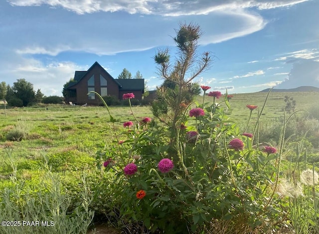 1740 W Bumblebee Rd, Chino Valley, AZ 86323 - view of yard