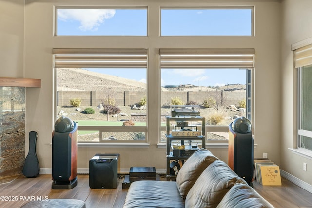 entryway featuring wood-type flooring, a wealth of natural light, and a mountain view