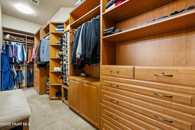 spacious closet featuring light colored carpet