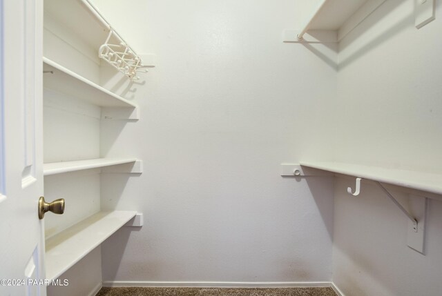 spacious closet featuring carpet floors