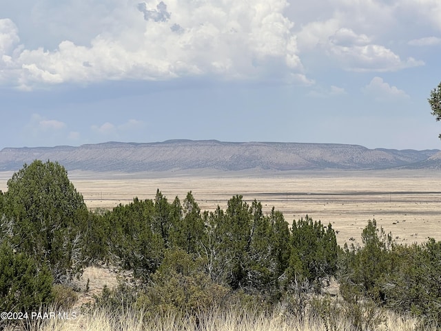 N/A W Calle Arandes, Seligman, AZ 86337