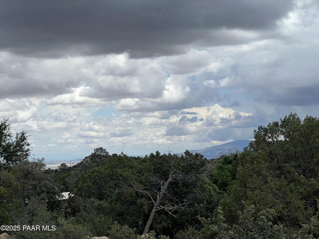 1790 N Holiday Ln, Prescott, AZ 86305 - photo 14