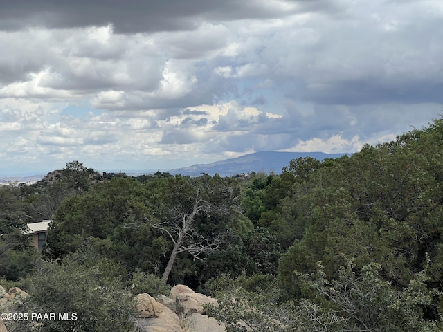 1790 N Holiday Ln, Prescott, AZ 86305 - photo 12