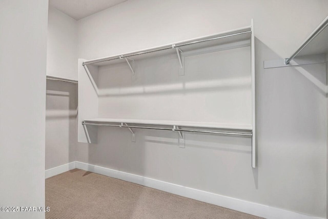 spacious closet with light carpet