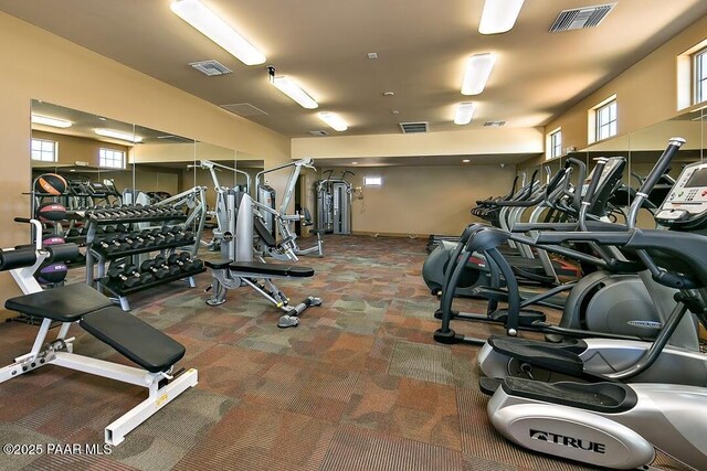 workout area with carpet, healthy amount of natural light, and baseboards
