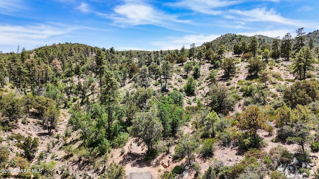 00 W Wilderness Trl, Prescott, AZ 86303