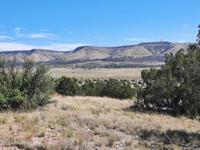 LOT769 N Paintbrush Ln, Seligman AZ, 86337 land for sale