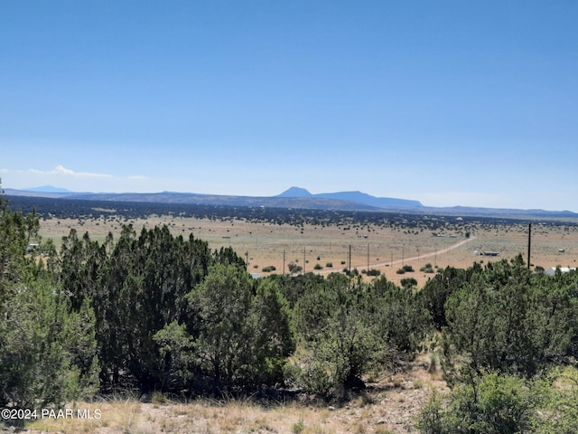 Listing photo 2 for LOT769 N Paintbrush Ln, Seligman AZ 86337