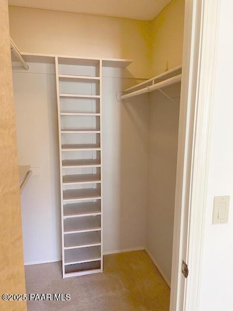 walk in closet featuring carpet flooring