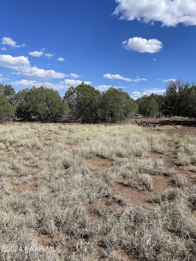 Listing photo 3 for LS49/74-49 Fort Rock Rd, Seligman AZ 86337