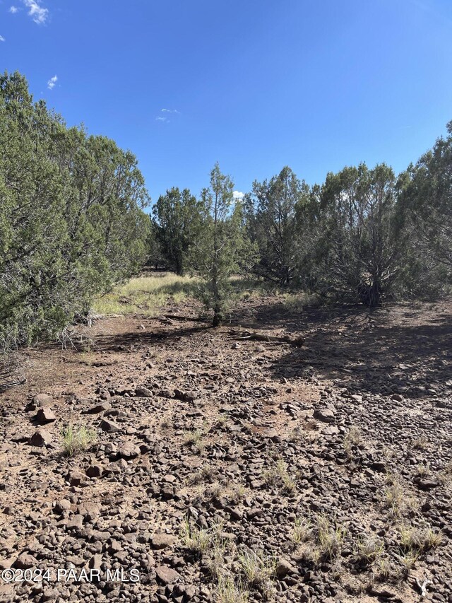 LS49/74-49 Fort Rock Rd, Seligman, AZ 86337 - photo 4