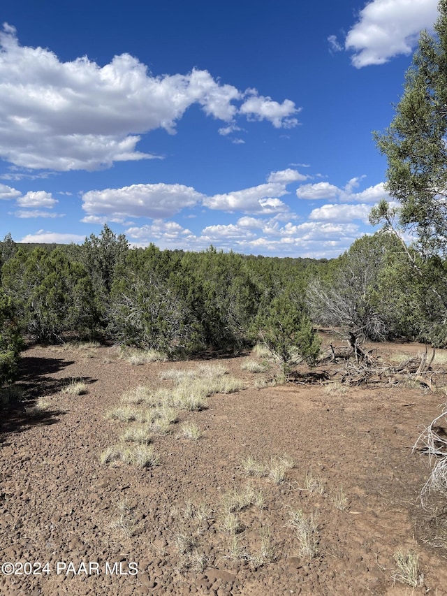 LS49/74-49 Fort Rock Rd, Seligman, AZ 86337 - photo 5