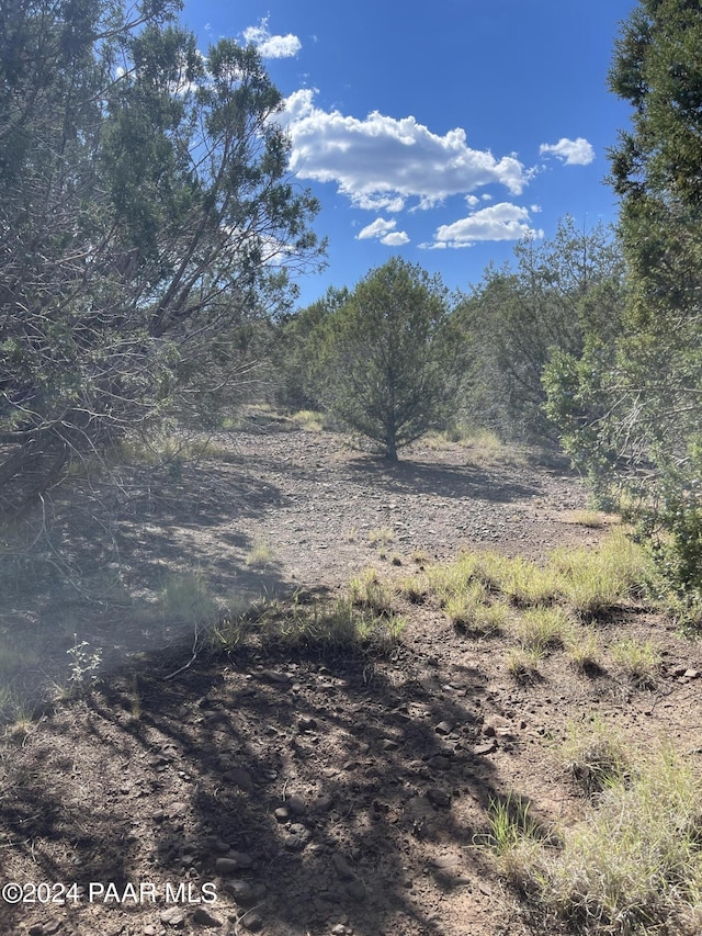 LS49/74-49 Fort Rock Rd, Seligman, AZ 86337 - photo 6
