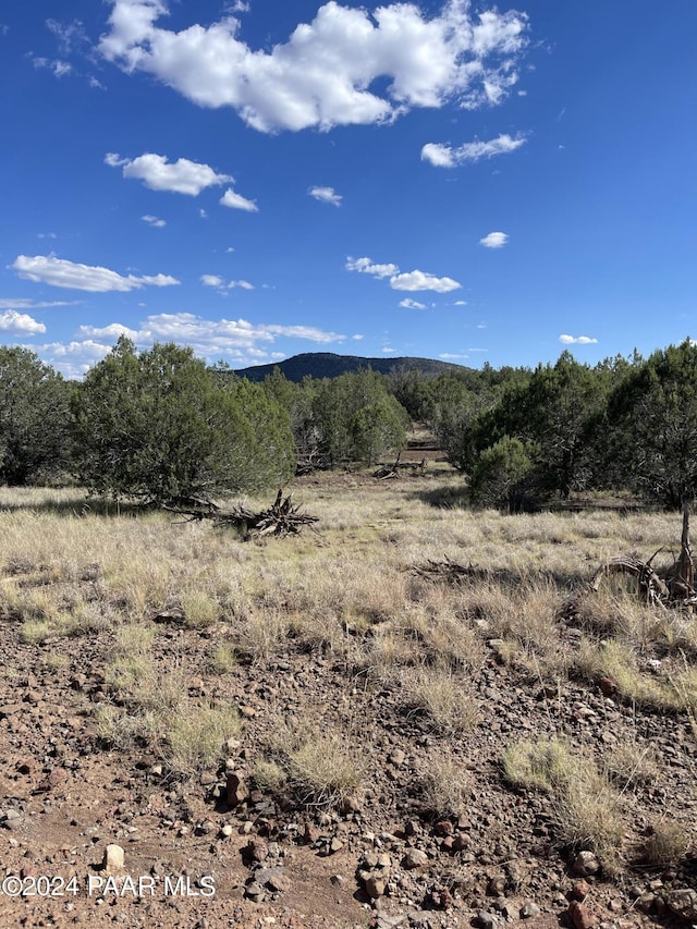 LS49/74-49 Fort Rock Rd, Seligman AZ, 86337 land for sale