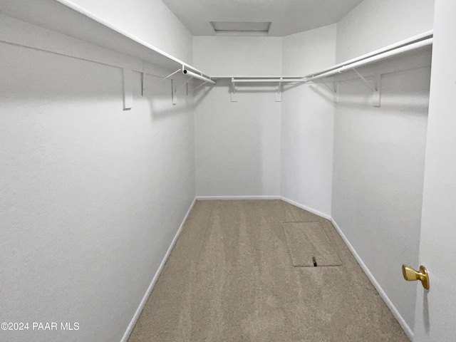 walk in closet featuring carpet floors