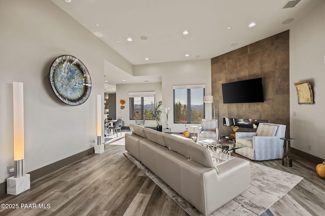 living room featuring wood-type flooring