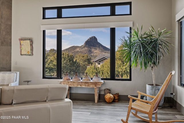 living area with a wealth of natural light, a mountain view, and light hardwood / wood-style flooring