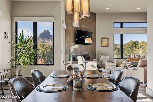 dining space featuring hardwood / wood-style floors and a healthy amount of sunlight