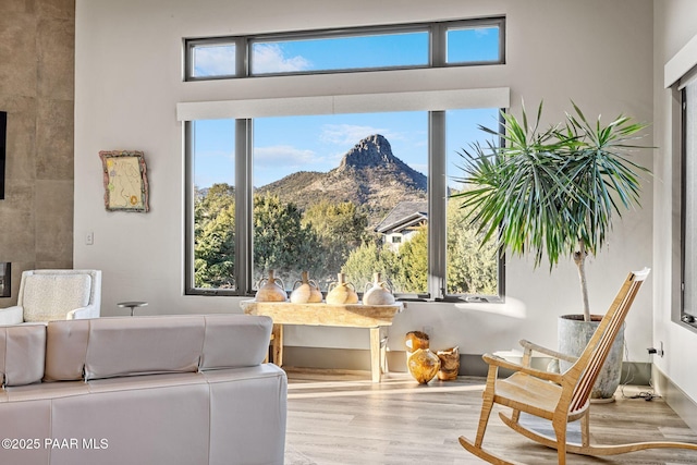 interior space featuring a mountain view, a wealth of natural light, and light hardwood / wood-style flooring