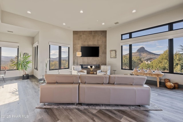 living room featuring a multi sided fireplace and wood-type flooring