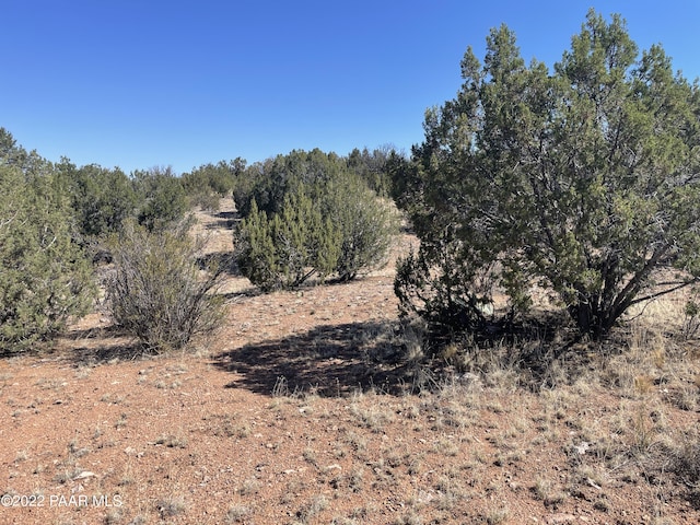 30134 W Alpia Cir, Seligman AZ, 86337 land for sale