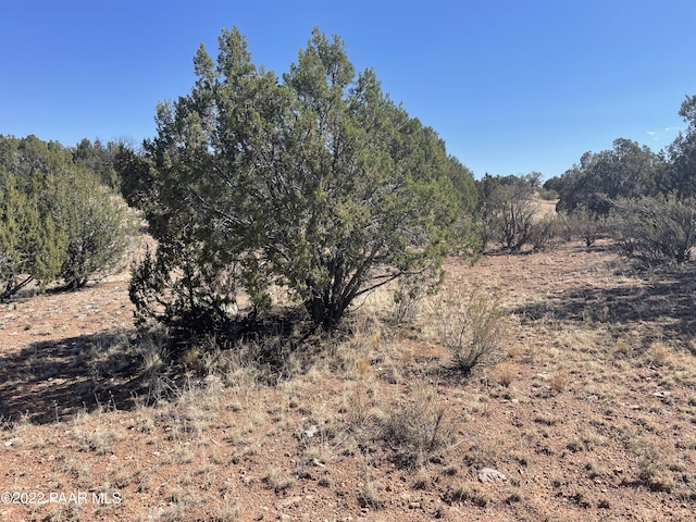 30134 W Alpia Cir, Seligman, AZ 86337 - photo 2